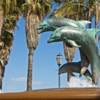 Santa Barbara Waterfront Guided Sightseeing Tour
