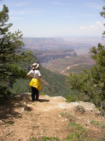 Grand Canyon - Insider's Secrets For The Best Day Trip