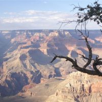 Grand Canyon Insider’s Secrets