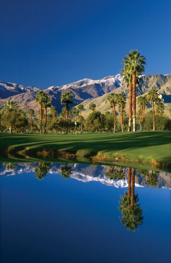 Palm Springs Guided Sightseeing Tour