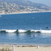 Los Angeles Malibu Guided Sightseeing Tour