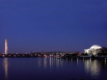 Washington D.C. Cherry Blossom Guided Sightseeing Tour