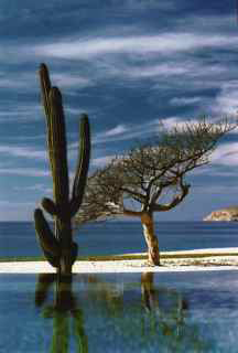 Best Of Baja & Los Cabos Resorts