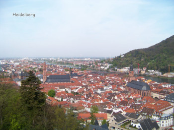Heidelberg Walking Tour