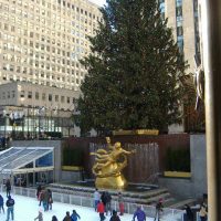 New York City Christmas Guided Sightseeing Tour