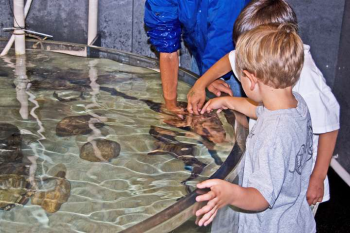 see inside the sea center