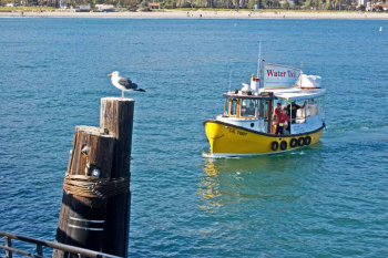 picture of santa barbara harbor boats